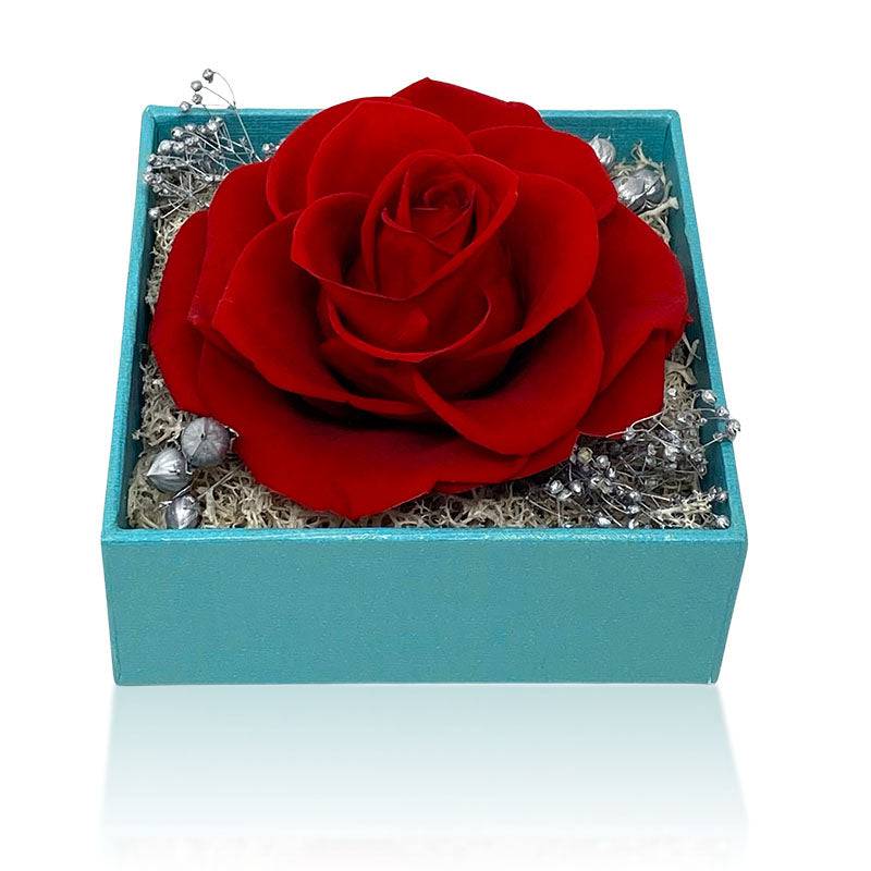 Forever red rose gift box i love you in 100 languages necklace - roselry